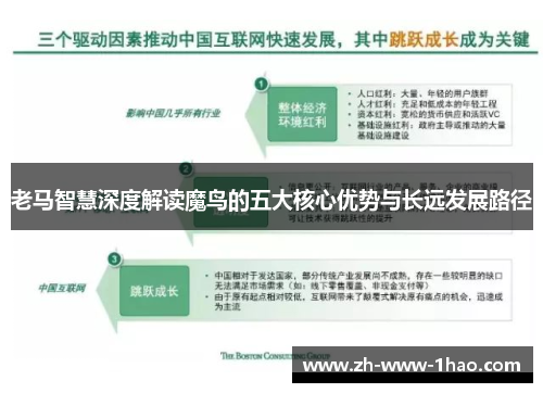 老马智慧深度解读魔鸟的五大核心优势与长远发展路径