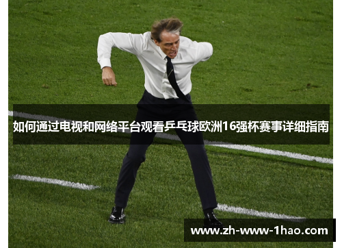 如何通过电视和网络平台观看乒乓球欧洲16强杯赛事详细指南