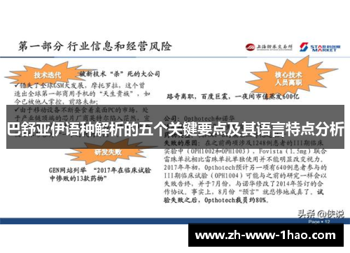 巴舒亚伊语种解析的五个关键要点及其语言特点分析