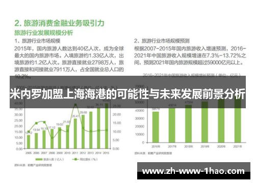 米内罗加盟上海海港的可能性与未来发展前景分析