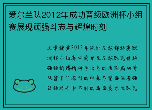 爱尔兰队2012年成功晋级欧洲杯小组赛展现顽强斗志与辉煌时刻